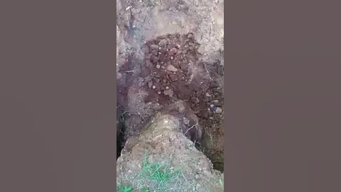The slide