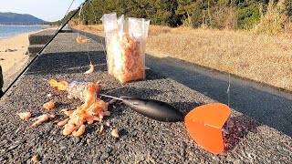 陸っぱりから投げて刺す【ダーツ】のような釣り方で大物を狙う神の一撃