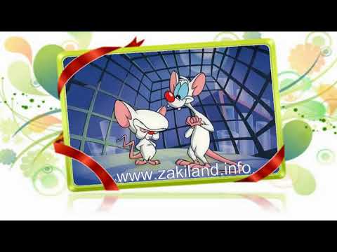 أغنية شارة بينكي وبرين مع الكلمات 