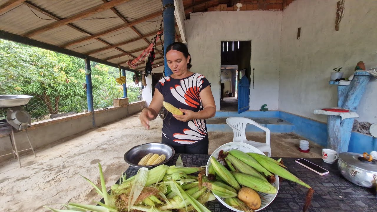 Colhemos milho 🌽 verde aqui no sítio. 