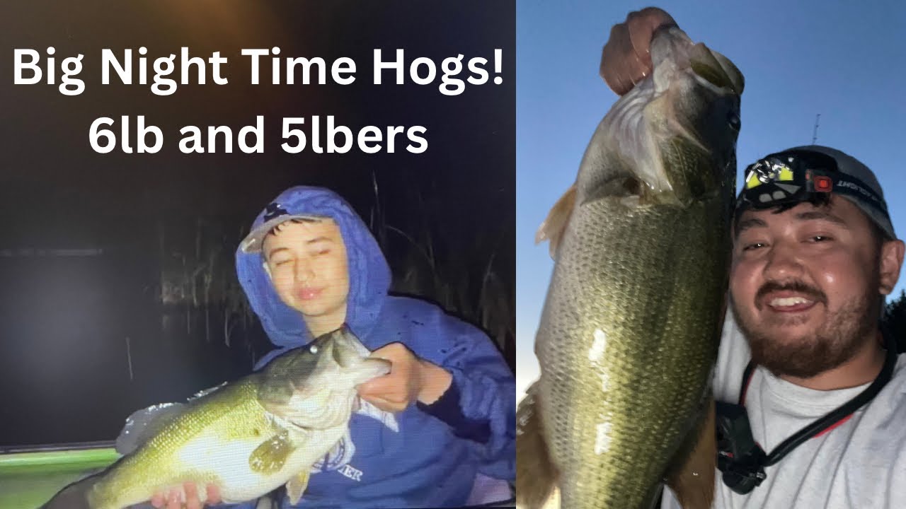 Big Night Time Summer Bass! 6lb and 5lbers