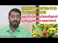 Immunity Boosting Food's,കോവിഡിനെ പ്രതിരോധിക്കാൻ ഭക്ഷണത്തിൽ ഉൾപ്പെടുത്തേണ്ട വിഭവങ്ങൾ എന്തെല്ലാം.