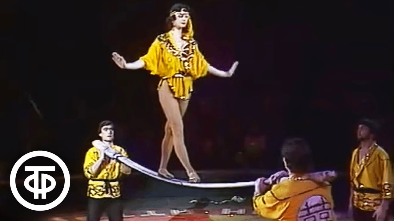 На арене цирка. Новогодний аттракцион (1984)