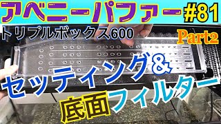 【アベニーパファー】81トリプルボックス600のセッティング