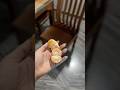 Dieting 6/30 #shortvideo #diet #shorts #minivlog #vbloger #shortvideoformat