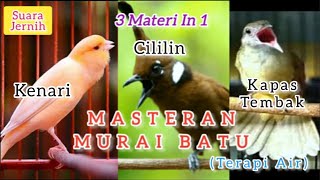 Masteran Murai Batu | Kenari, Cililin, Kapas Tembak dan Terapi Air #kapastembak #cililin #kenari