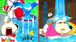 Oh No, The Toilet is Flooded | Kids Play Safe At Home  Wolfoo Kids Cartoon