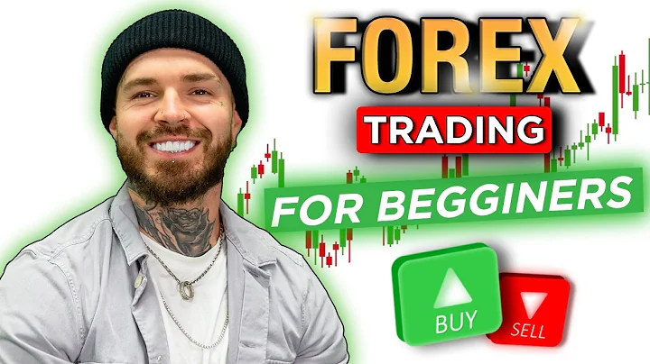 The Ultimate Beginners Guide To  FOREX!