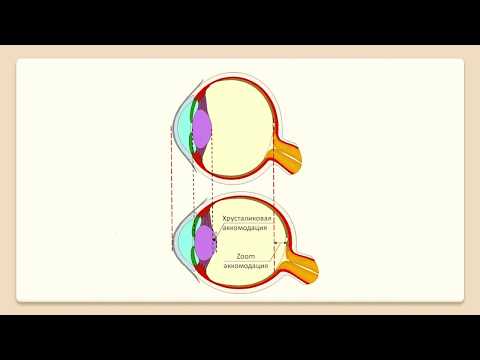#1 hoe werkt het menselijk oog. Accommodatie van het oog.