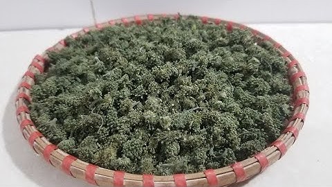 NỤ HOA TAM THẤT CÓ TÁC DỤNG GÌ? CÁCH SỬ DỤNG ĐỂ TỐT CHO SỨC KHỎE.