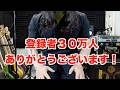 【３０万人ありがとう！】始めたあの日から今日までのダイジェスト！