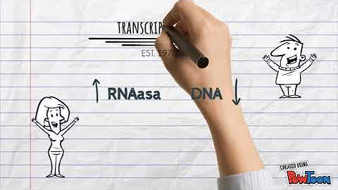 ¿Qué virus tienen transcriptasa inversa?