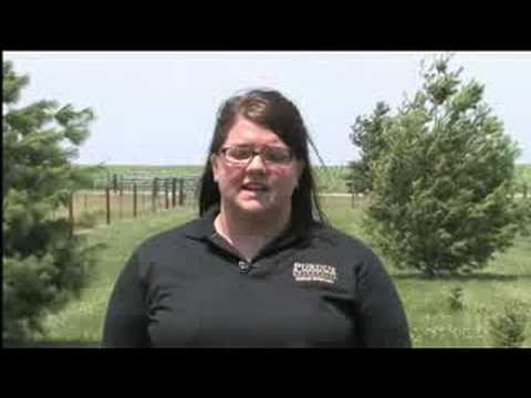 Usda Grass Fed Requirements
