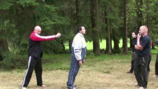 SECRET TECHNIQUES INTERNAL ENERGY SELF DEFENSE VADIM STAROV screenshot 3