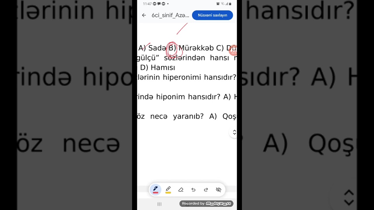 6 cı sinif Azərbayacan dili ksq 2 B vairant 