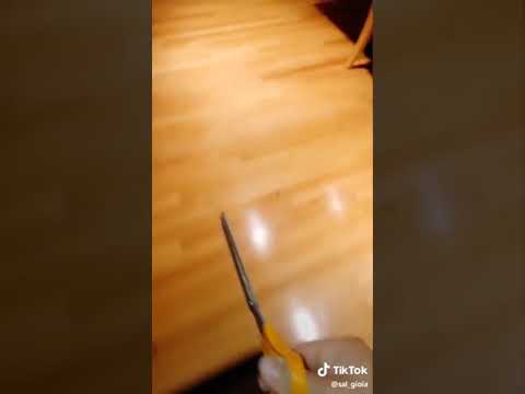 camera iphone 8 plus apk Son cuts mom's iPhone charger