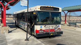 CTA Bus Ride On Route 65 Grand From Nordica Terminal To Navy Pier CTA New Flyer D40LF 2008 #1895