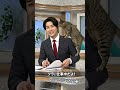 「猫には勝てませんね」思わず本音が出た瞬間🐾