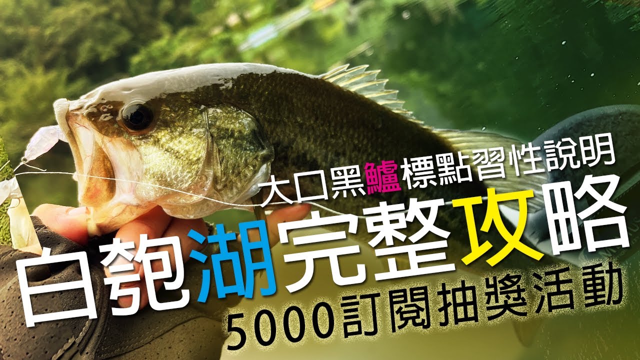 還沒釣過野鱸嗎? 白匏湖完整攻略，大口黑鱸標點習性說明，讓你了解白匏湖巴斯，5000訂閱抽獎! | 裝B的日子