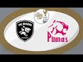 Sharks vs Pumas | Currie Cup 2025 | Hollywoodbets Sharks Pumas Live