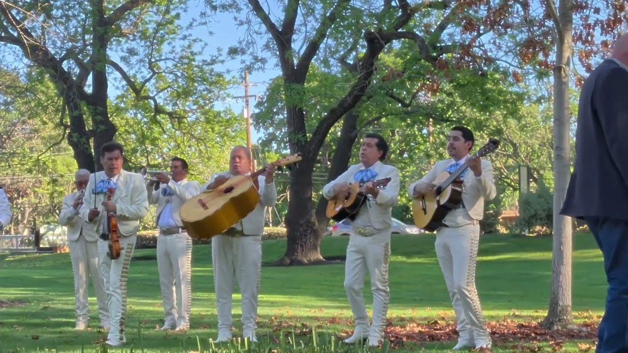 Son de La Negra por Mariachi Mexico Lindo de San Francisco, CA