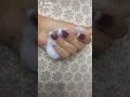 حاول وحاول وحاول فقط لا تتوقف         