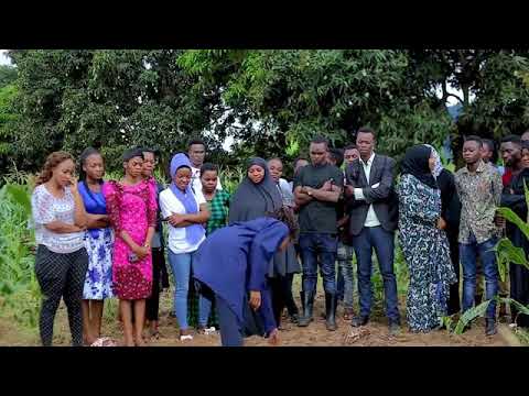 Video: Chlorophytum Imewekwa - Safi Ya Ndani Ya Kusafisha Hewa, Jinsi Ya Kuipanda Katika Nyumba