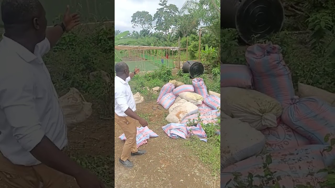 la construction de serre agricole et le substrat bio avec AFRIK-AGRICULTURE