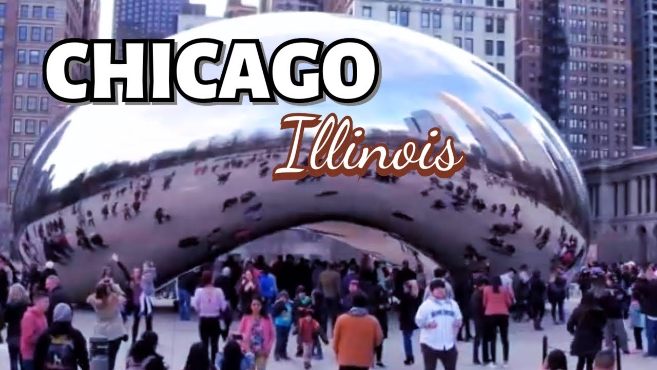 Chicago hop on hop off Tour & Walking Tour