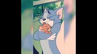 شكلي حبيتك | توم وجيري | Tom & Jerry