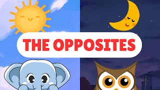 The Opposites - Educational video for Pre school kids and Toddlers - learning videos