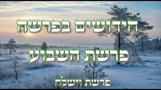 חידושים ומדרשים לפרשת השבוע - פרשת וישלח    [משוחזר]