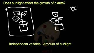Variables in Scientific Method