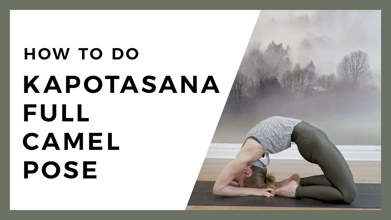 Camel Pose Yoga Asana | Ustrasana in Hindi | Yoga Poses For Weight Loss |  Yoga For Beginners - YouTube