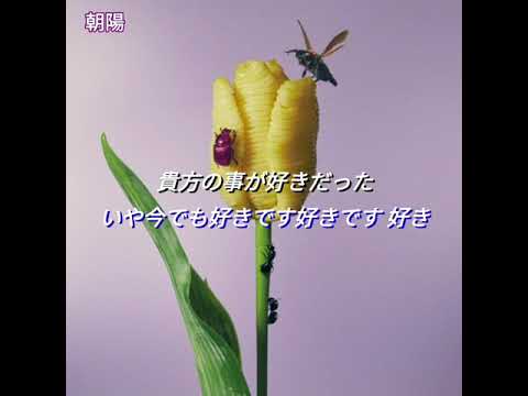 あいみょん コーラス強調 아이묭 화음 강조