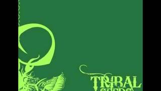 Tribal Seeds - Dark Angel chords