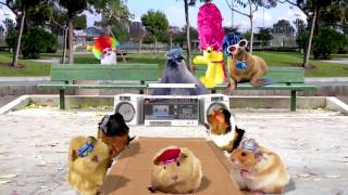 Radio Disney Rd Dogz 90