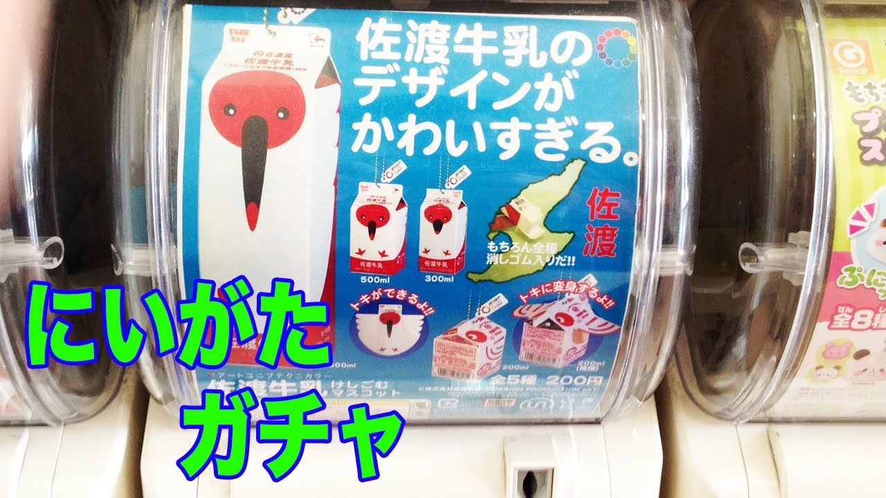 ガチャガチャ 消しゴム 佐渡牛乳のデザインがかわいすぎる 牛乳 パック 