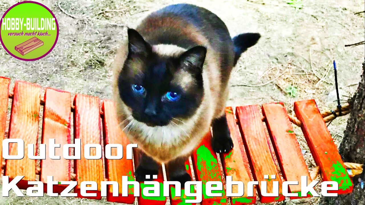 DIY Outdoor Katzenhängebrücke | Katzenspielplatz | cat playground