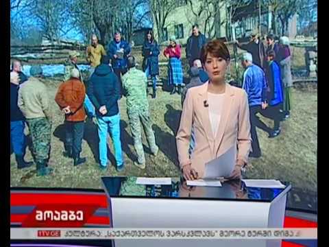 ფინანსთა მინისტრის მოადგილე შავშვებში იმყოფებოდა