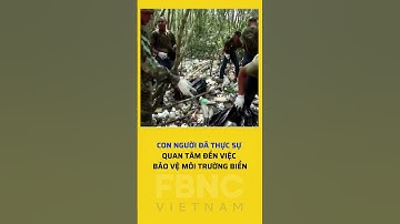 Con người đã thực sự quan tâm đến việc bảo vệ môi trường biển?
