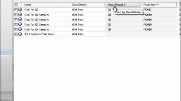 Changing Fiscal Year Settings sample - Microsoft Dynamics CRM Online - Success Portal