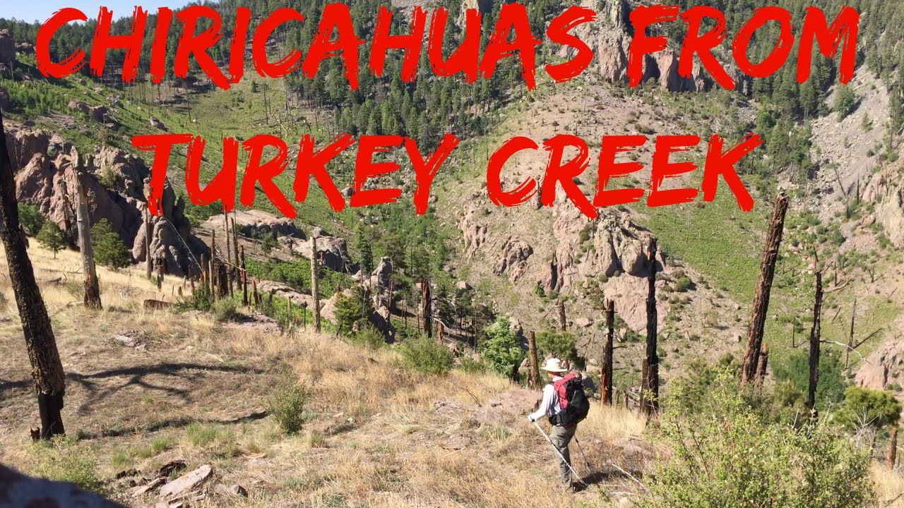 How to hike the Chiricahuas from Turkey Creek YouTube