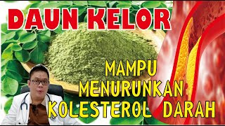 DAUN KELOR...... MAMPU MENURUNKAN KOLESTEROL DARAH & CARA MEMBUAT TEH DAUN KELOR