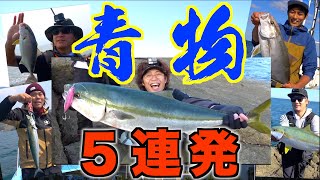 【総集編】これまで釣りよかを楽しませてくれた色んな青物達５選！！