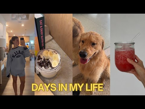 Thumbnail for VLOG: typical days at home, nature’s Gatorade, prenatal chiro appt, easy meals & ninja creami
