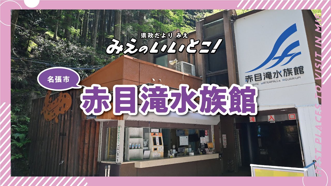 赤目滝水族館（令和7年7月号）