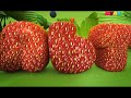 Начало эфира после профилактики Мульт 18 07 2018 