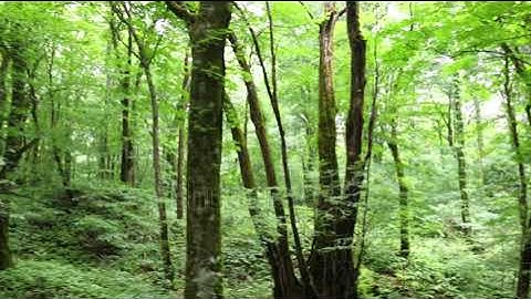 SMS Broadcast Software Free|Telegram:my911sms