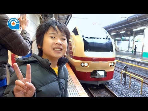 国鉄色 のE653 ‼️ぶらり高尾散策号 に乗りました【がっちゃんの電車で